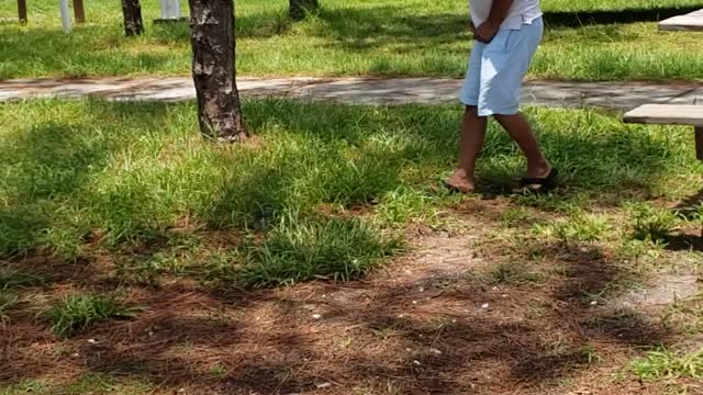 Squirrel Yeeted After Snacking on Man’s Finger