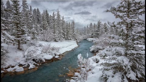 Beautiful Winter Lake Relaxing Video
