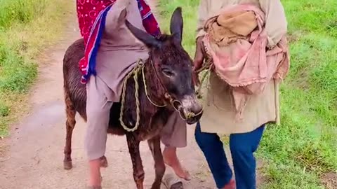 Main tujko Baga Laya hon tere gar se