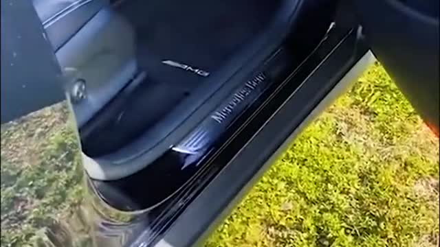 Funny Animals Moments