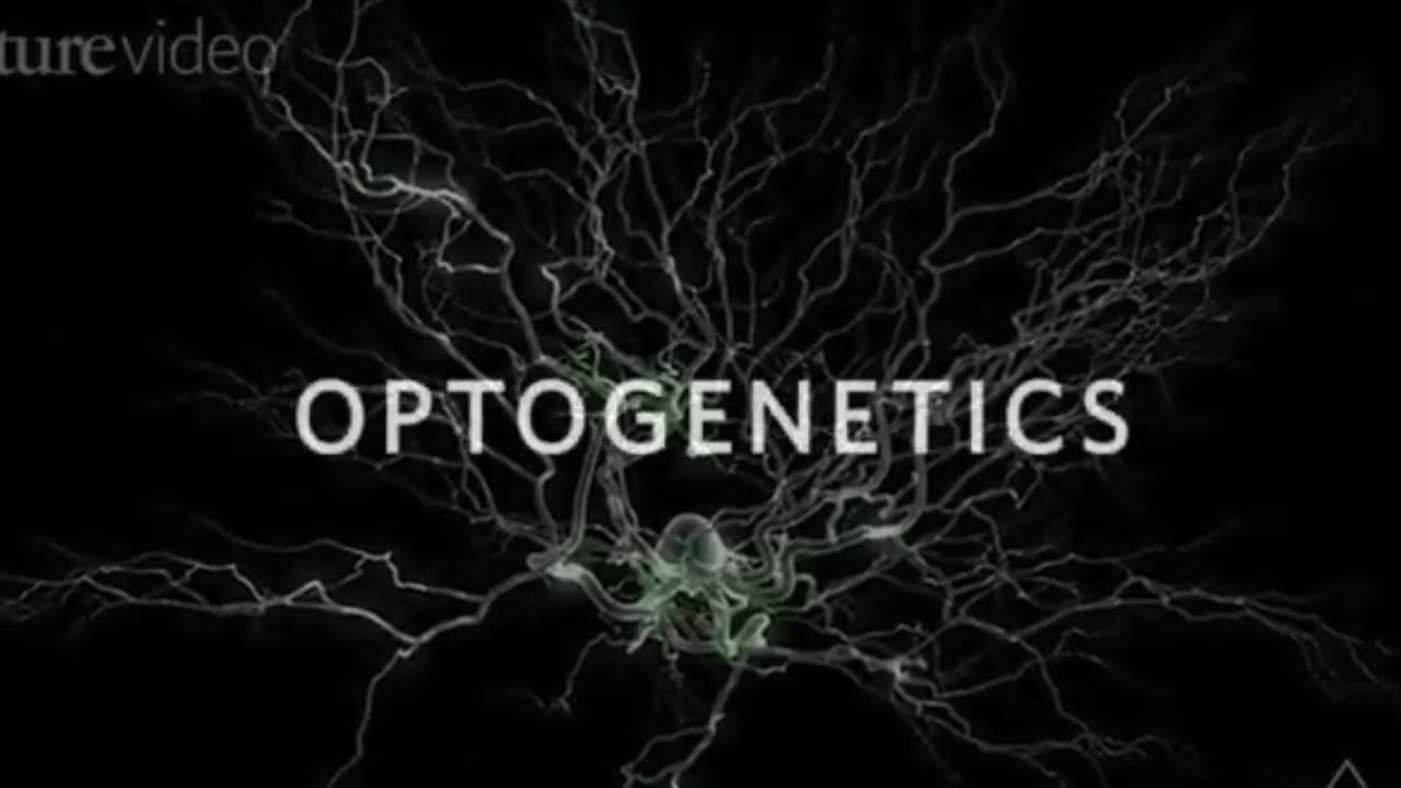 Optogenetics