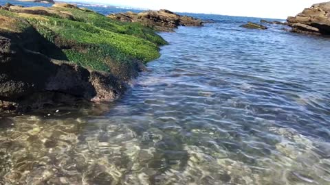 Nice sea shore in japan..