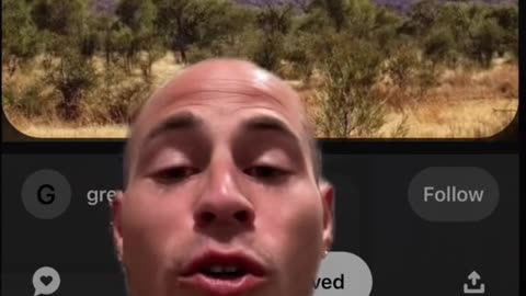 ARE THEY REALLY TREES? I THINK SO