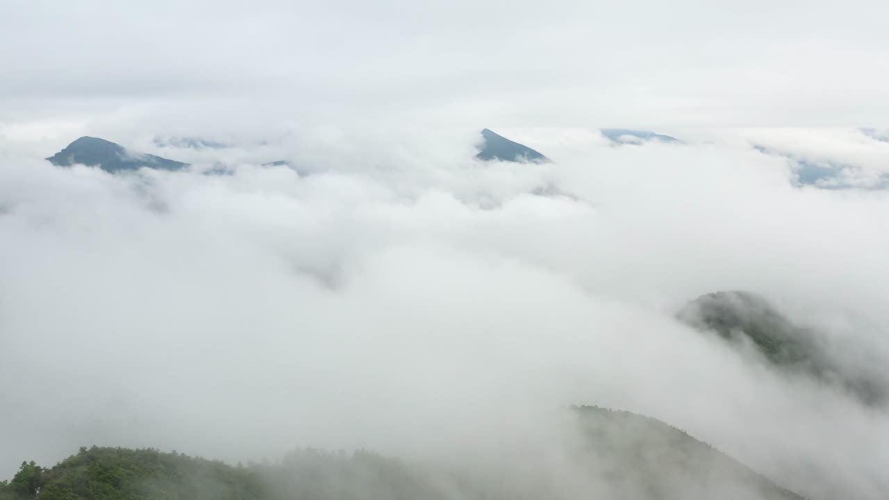 Location view