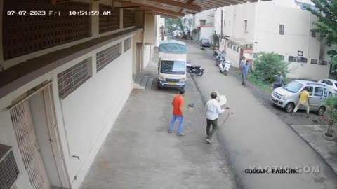 Street Donkeys Commit 57% of Animal Assaults