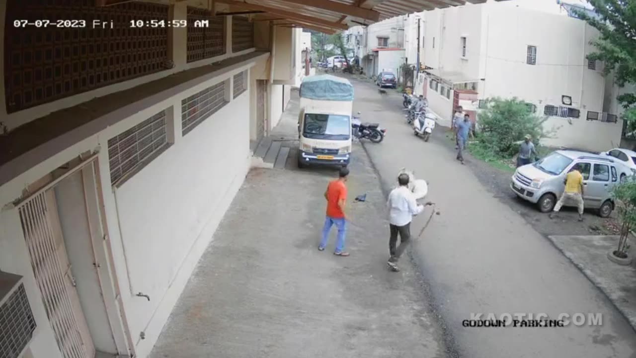 Street Donkeys Commit 57% of Animal Assaults