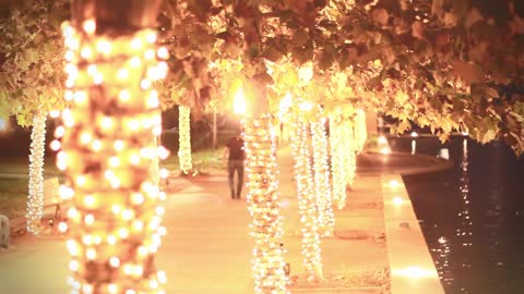 You must walk until the lights are bright.