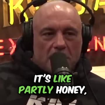 Mad Honey is a Weed Source I #shorts I #viral I #shortsfeed I #shortsviral I #shortsvideo I #jre