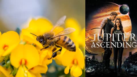 MOVIE JUPITER ASCENDING BEES SHOWING ROYALTY