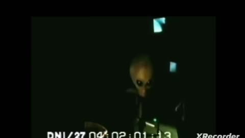 SHOWS A ZETA GREY 👽CAPTURED IN AREA 51