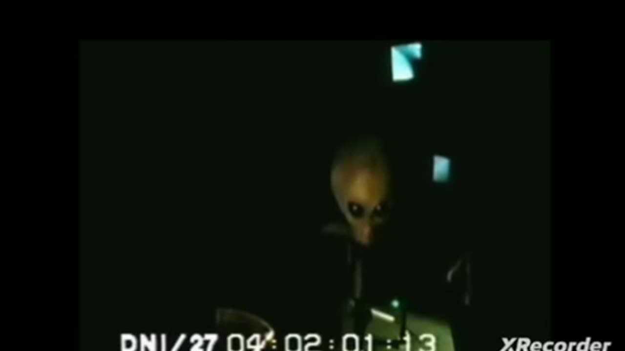 SHOWS A ZETA GREY 👽CAPTURED IN AREA 51