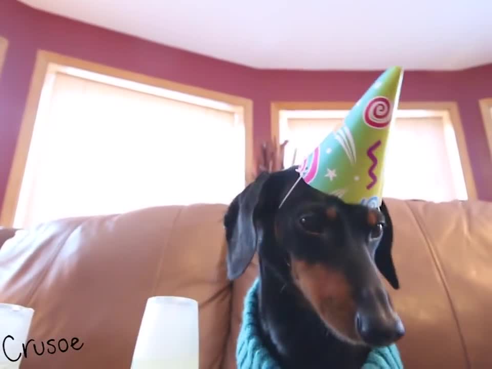 Crusoe & Oakley on New Years - Sometimes Midnight Doesn't Come Soon Enough!
