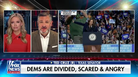 Sen. Ted Cruz_ The Democrats are panicking