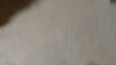 You can at least get some food in this house