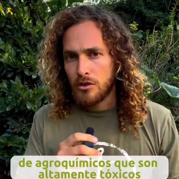 El gobierno argentino ya está envenenando a la población con el trigo HB4