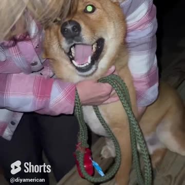 He demands hugs, We give him hugs