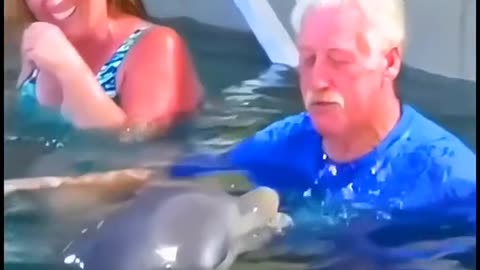 Dolphins and Men