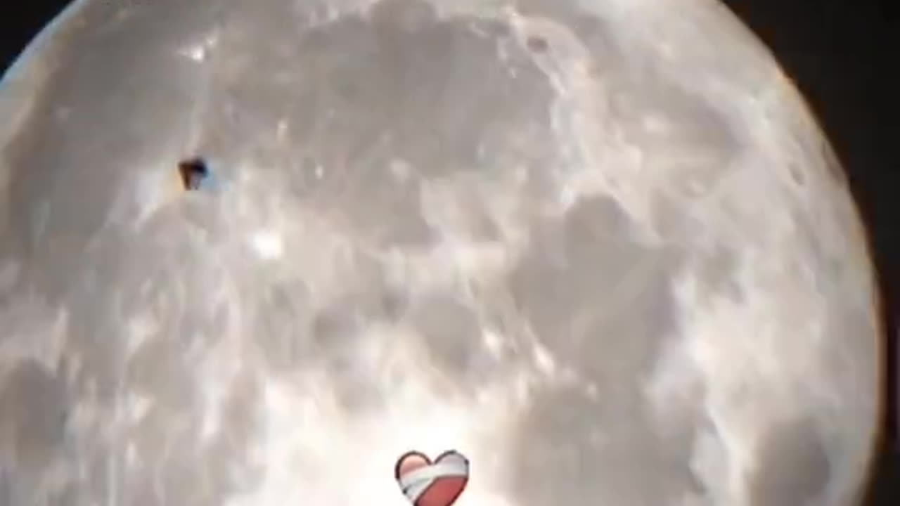 Memes of Discord part 01