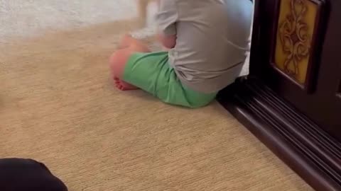 Puppy Meets Baby for the First Time! 🐾👶