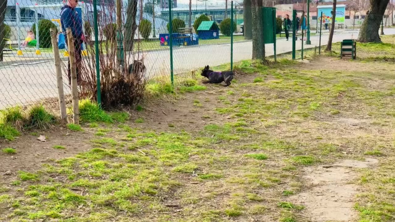 Bruno performs moonwalk to impress his crush