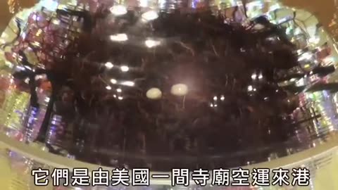 佛門聖物 全球首展 - 東方日報
