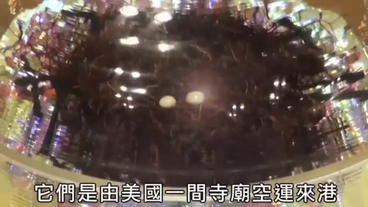 佛門聖物 全球首展 - 東方日報