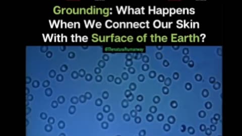 Grounding: What happens?