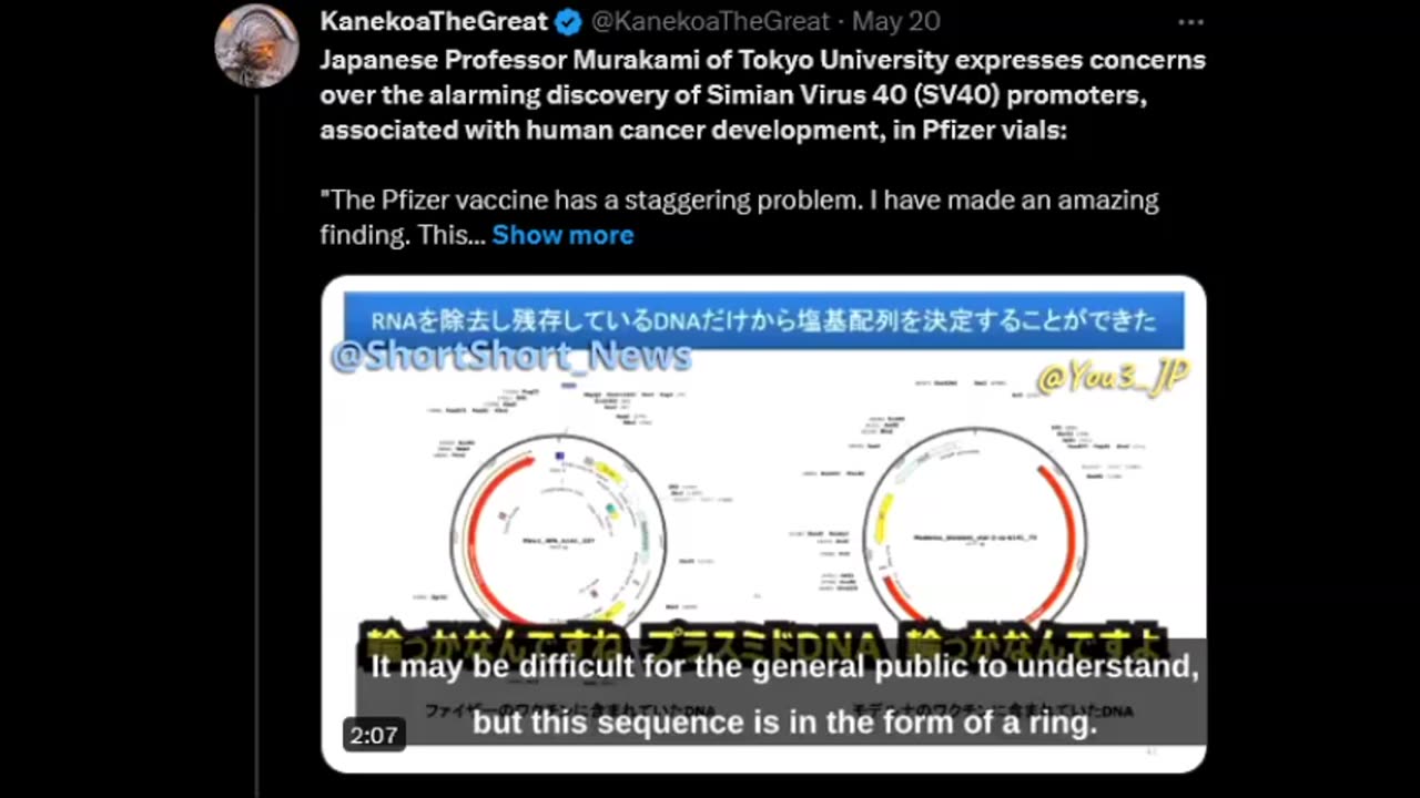 KanekoaTheGreat - Pfizer