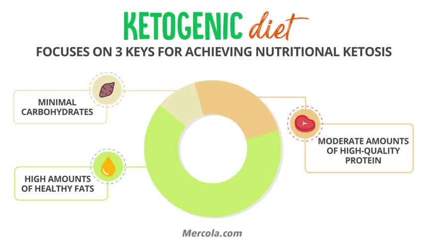 Ketogenic Diet: A Beginner’s Ultimate Guide to Keto