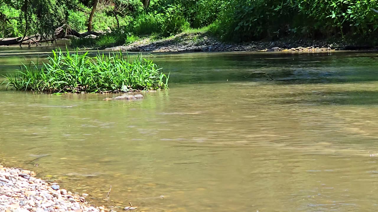 Rapids with muddy water / river with muddy water / cloudy water.