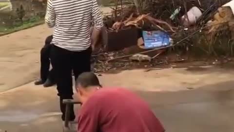Try not to laugh challenge 🤣 0%win