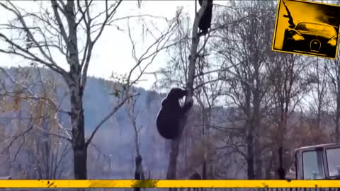 Meanwhile in Russia Compilation - Funniest Fails 2020 (Things go horribly wrong!)