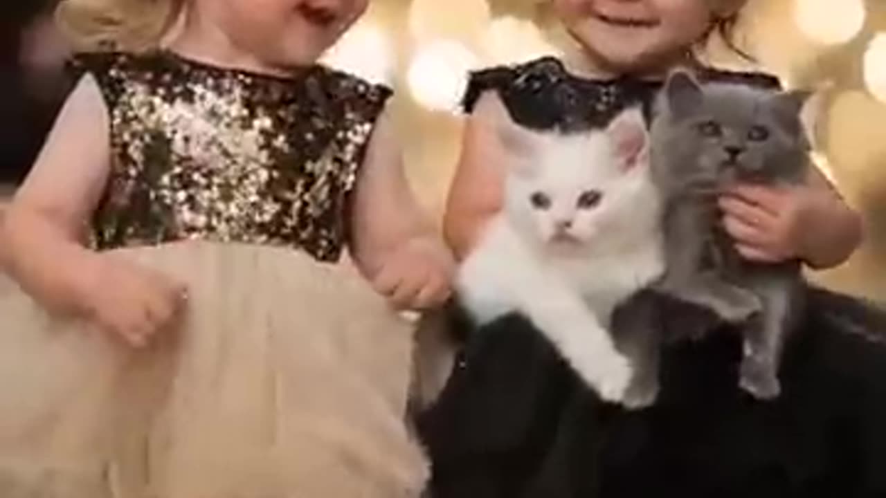 cute baby show