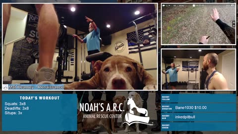 Gym Session w/the Bearded Bros & Captain Slow [Week 18] - Squats & Deadlifts // Animal Rescue Stream