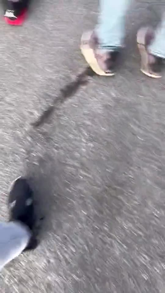 A small plane crash has been reported on Long Island, New York