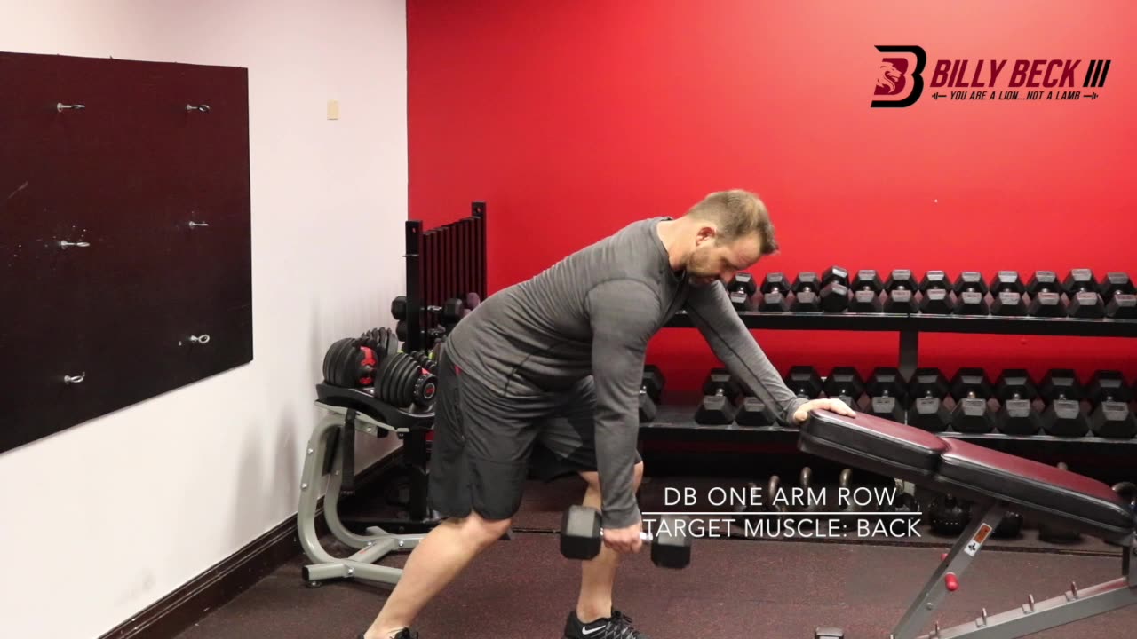 DB One Arm Row