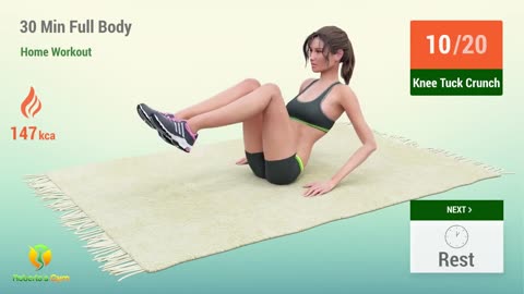 Beginner Full Body Workout