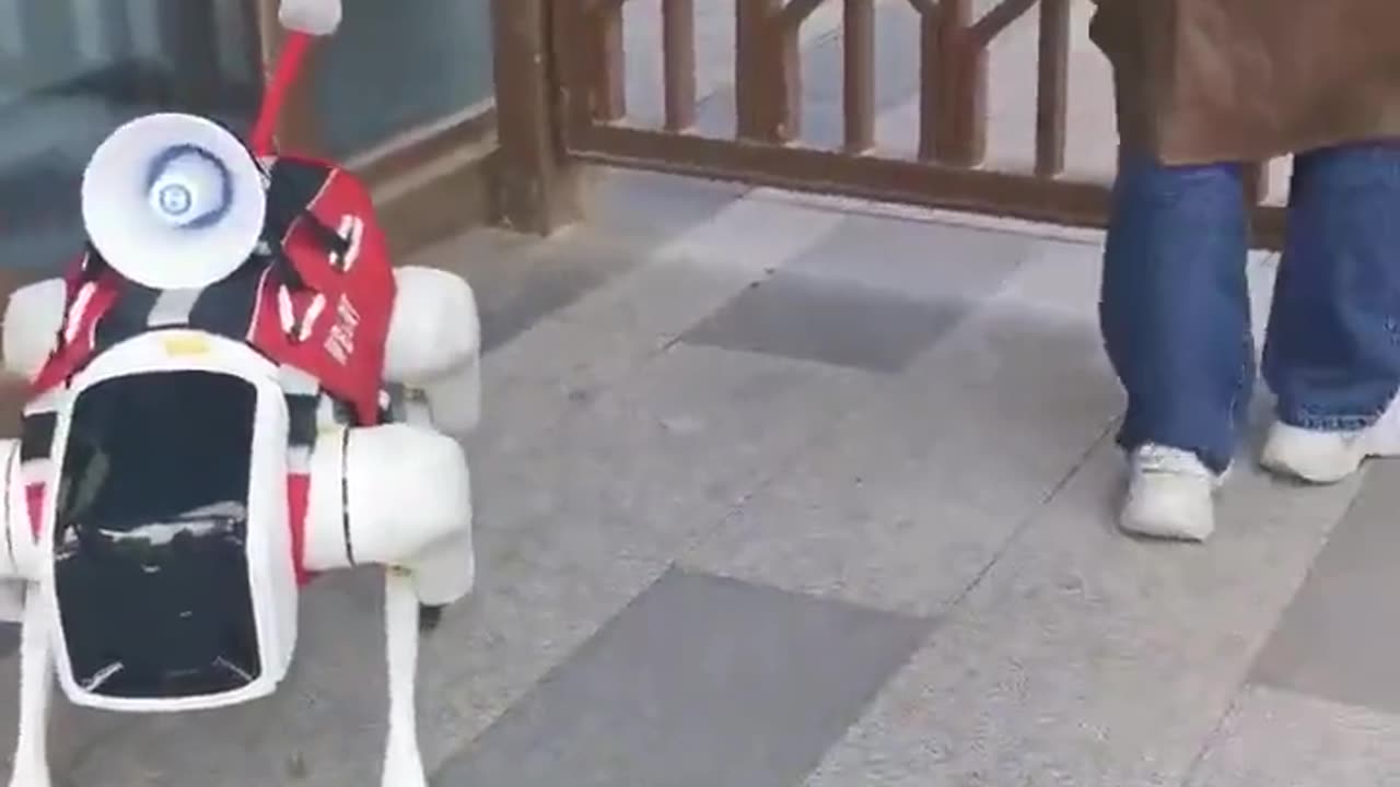 In China You Must Show Your COVID Passport to Robot Dogs to Go Home