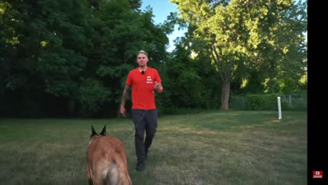 BELGIAN MALINOIS LEFT IN UJHAUL GETS FRESH START!