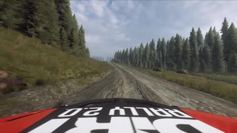 DIRT RALLY 2.0