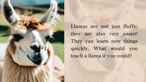 🌟 Fun Facts About 🦙 Llamas 🌟