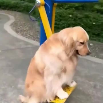 The best Entertainment video for rumble