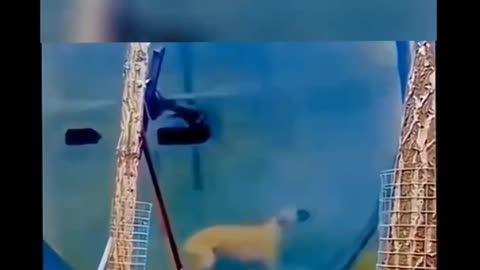 Funny Animals videos 😂
