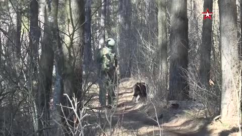 Russian sappers are clearing mines in the settlements of the Chernihiv region