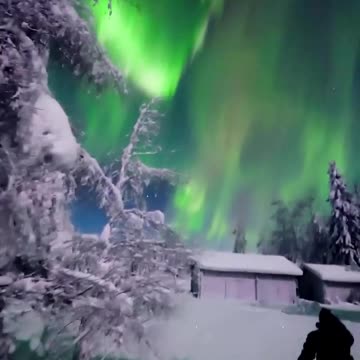 Jaw dropping @jarcce’s view of the most epic Northern Lights in Ranua, Finland! 🤩
