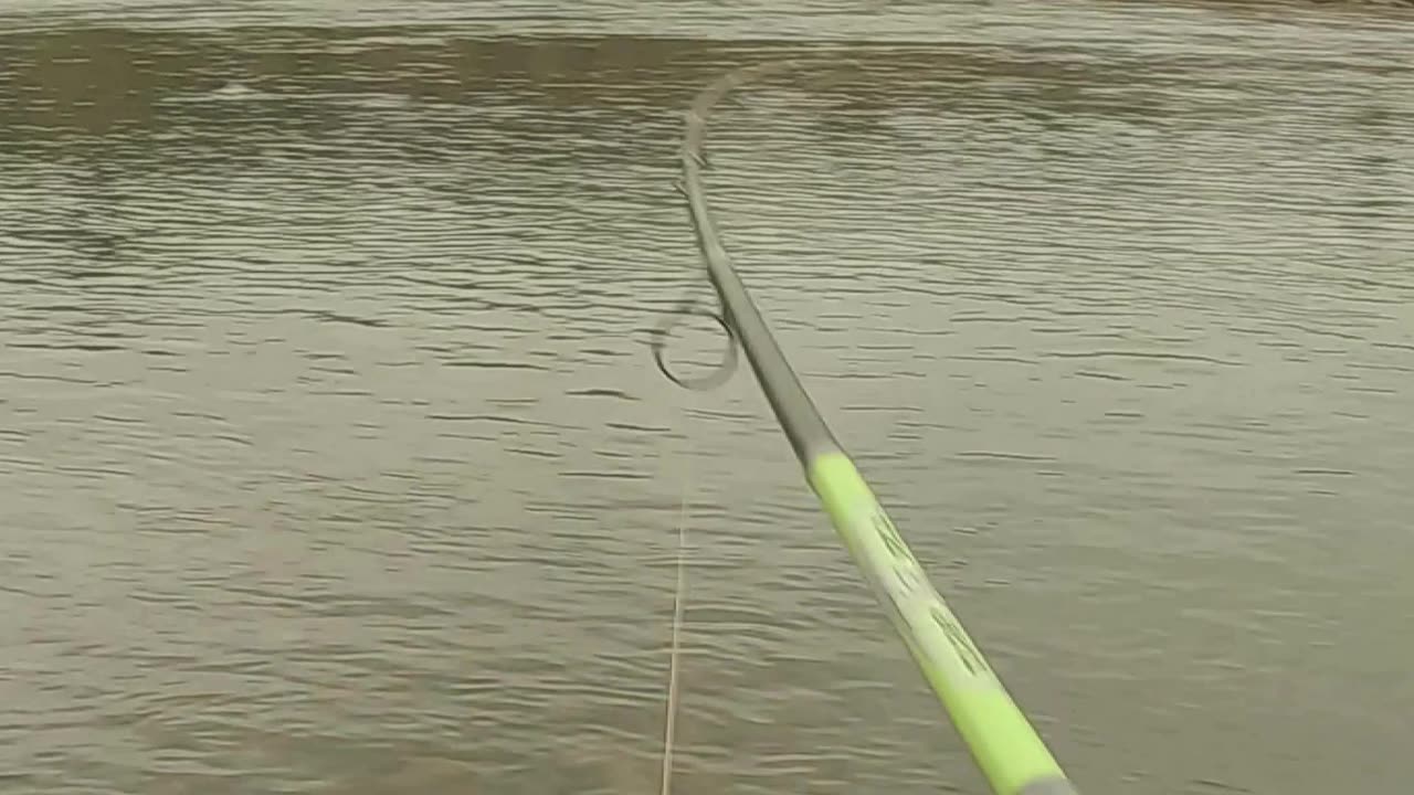 Smallest Fish BROKE My Rod (Salmon Fishing)