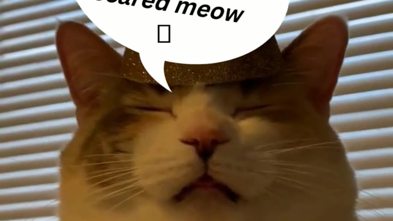 Try not to laugh 4