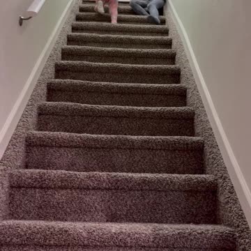 Must be this short to ride