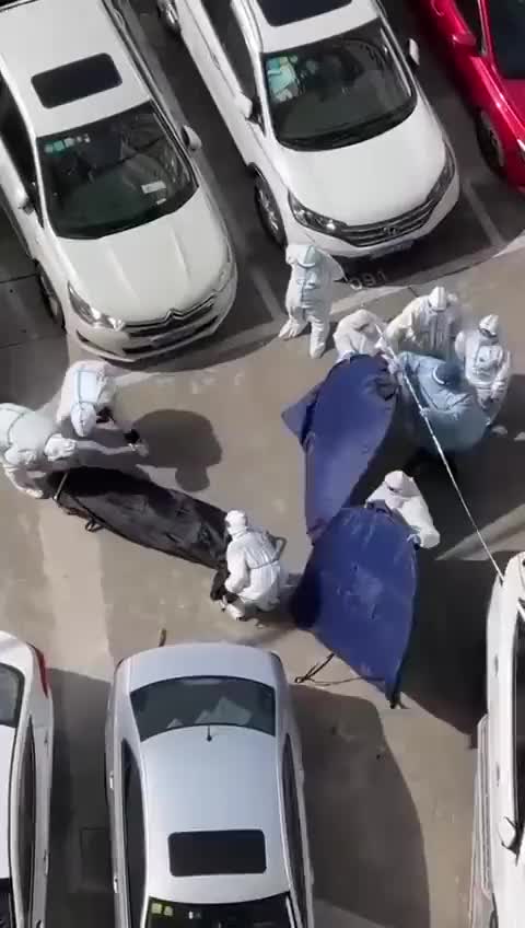 From China: People Are Jumping from Buildings Rather than Staying Locked Down