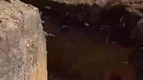 Trench Tour(Dry!)